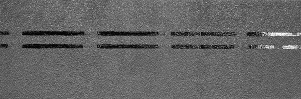 Коньково-карнизная черепица Docke Premium, черника купить в Кашире